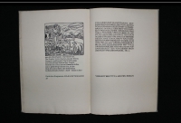 Das Hirtenlied : ein Fragment / von Gerhart Hauptmann. [Mit siebzehn Bildern, die von Ludwig von Hofmann gezeichnet u. eigenhändig in Holz geschnitten sind